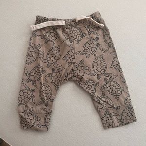 Baby Gap Turtle Pants
